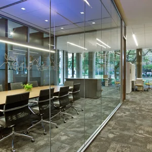 Frameless-Glass-systems-99-300x300